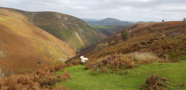 Haddon Hill and Caer Caradoc